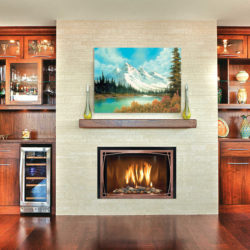 Mendota Fireplace Insert FV44i Decor Willowbrook