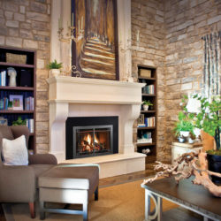 Mendota Fireplace Inserts FV33i Homestead