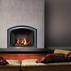 Mendota Fireplace Inserts FV44i Decor Willowbrook