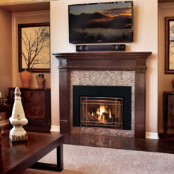 Mendota Fireplace Inserts FV44i Stella