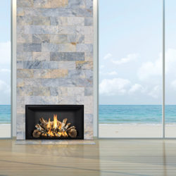 Mendota Gas Fireplaces FV42 Birch