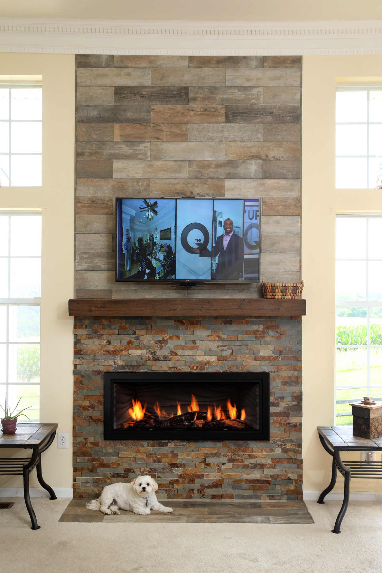  Gas  Fireplaces  Bellevue Fireplace  Shop