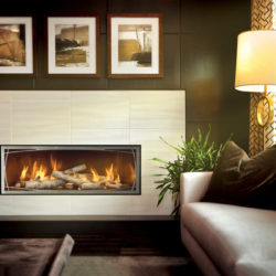 Mendota Gas Fireplaces ML47 Decor Willowbrook