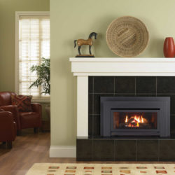 Regency Fireplace Inserts E21-3