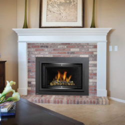 Regency Fireplace Inserts HRI4E-B