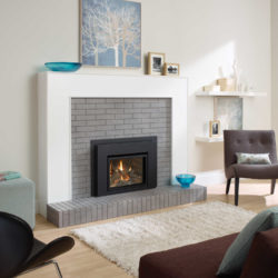 Regency Fireplace Inserts L234-1