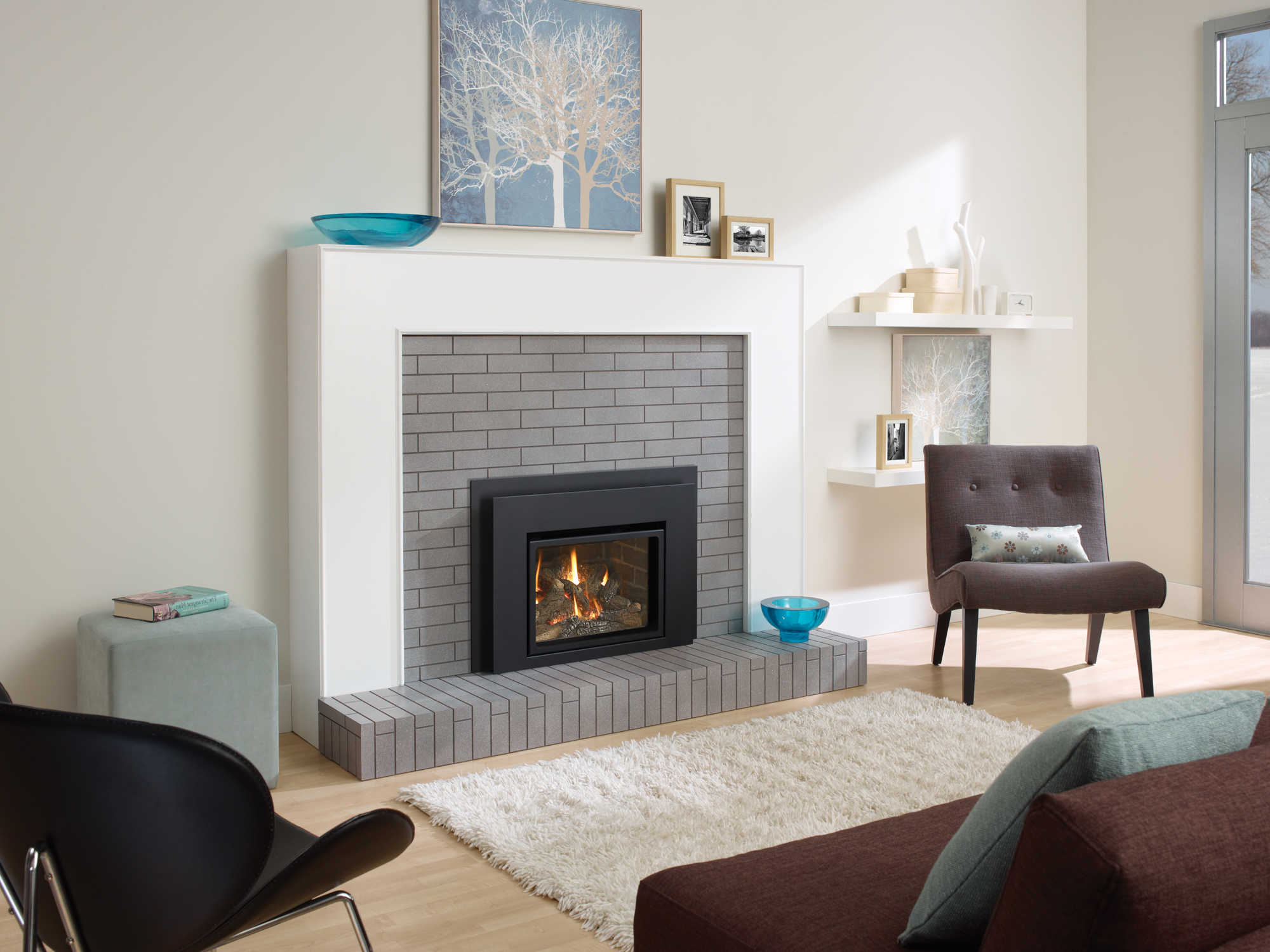 Gas Inserts | Bellevue Fireplace Shop