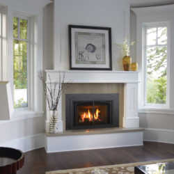 Regency Fireplace Inserts LRI4E-4