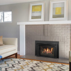 Regency Fireplace Inserts LRI4E-5