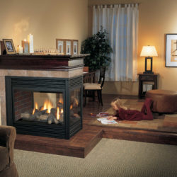 Regency Gas Fireplaces P131-1