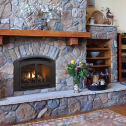 Regency Gas Fireplaces P90-1